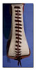 Stirrup White Rawhide Covered Laced Bell